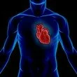 Patologie dell'apparato cardiovascolare