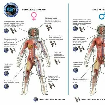 Differenze fisiologiche tra i sessi (Copyright Nasa)